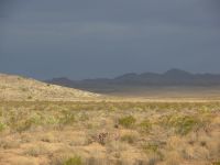 Distant storm